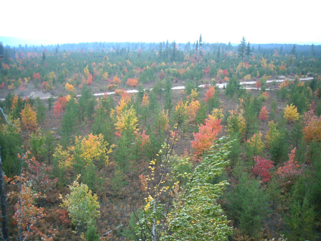 Eagle Rock on Yellow Dog Plains in Fall | This is from Stude… | Flickr